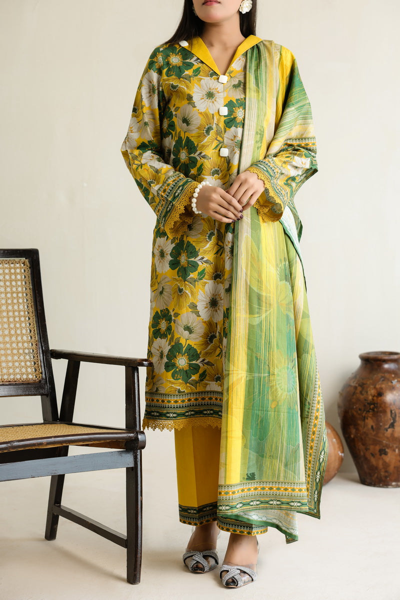 Daman Mid Summer D-2022