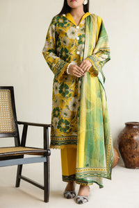 Daman Mid Summer D-2022