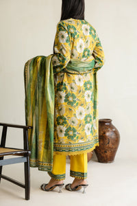 Daman Mid Summer D-2022