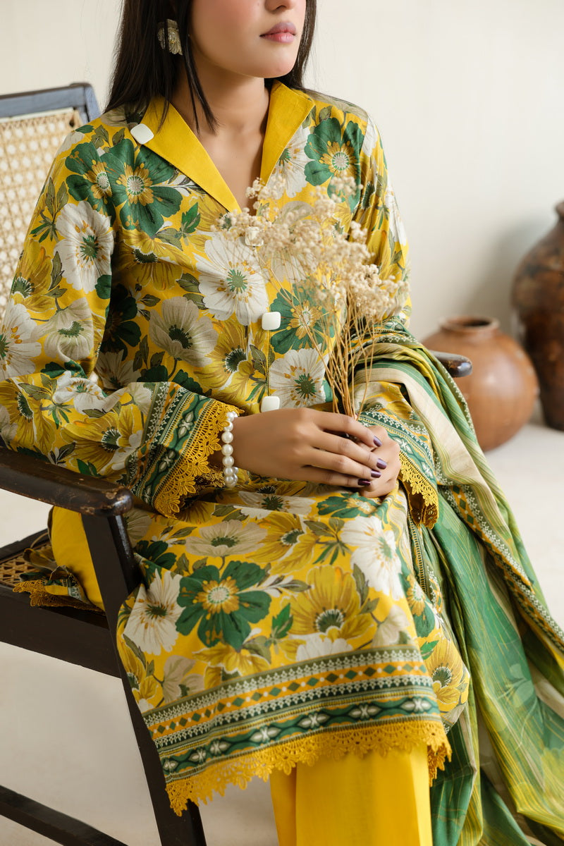 Daman Mid Summer D-2022