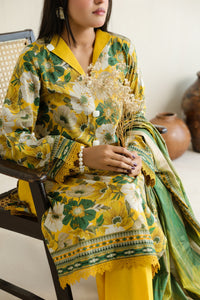 Daman Mid Summer D-2022