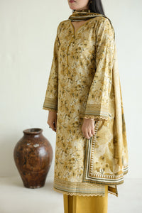 Daman Mid Summer D-2009