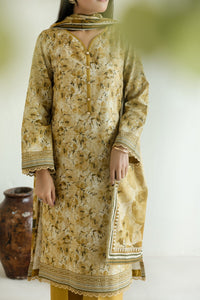 Daman Mid Summer D-2009