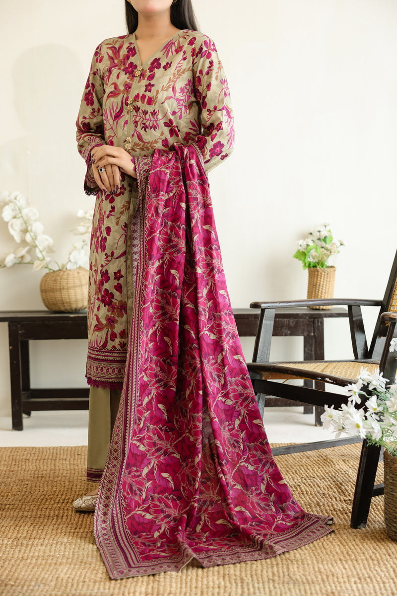 Daman Mid Summer D-2017