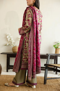 Daman Mid Summer D-2017