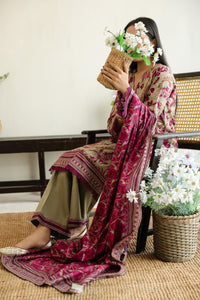 Daman Mid Summer D-2017