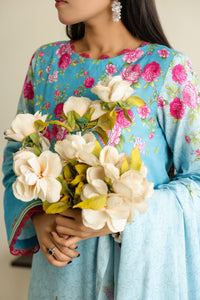 Daman Mid Summer D-2034