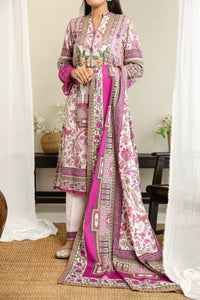 Daman Mid Summer D-2019