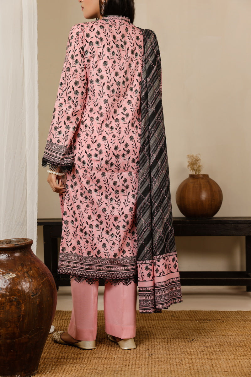 Daman Mid Summer D-2018