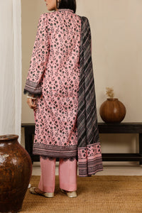 Daman Mid Summer D-2018