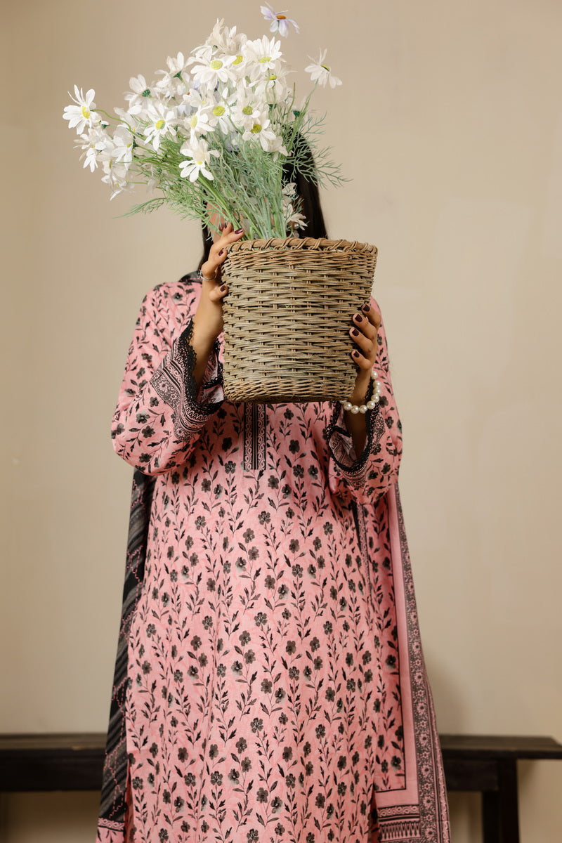 Daman Mid Summer D-2018