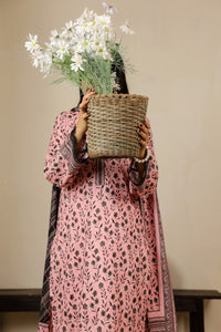 Daman Mid Summer D-2018