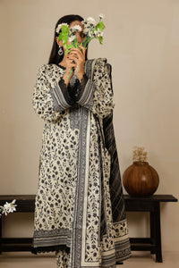 Daman Mid Summer D-2015