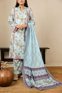 Daman Mid Summer D-2035