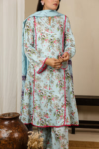 Daman Mid Summer D-2035