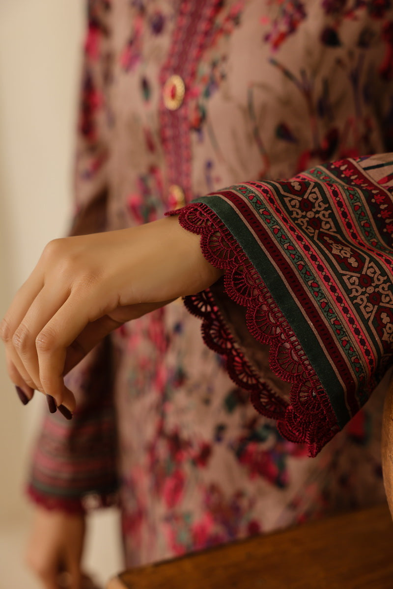 Daman Mid Summer D-2016