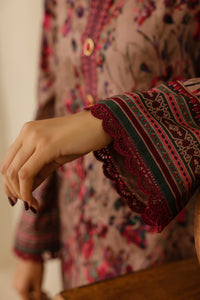 Daman Mid Summer D-2016