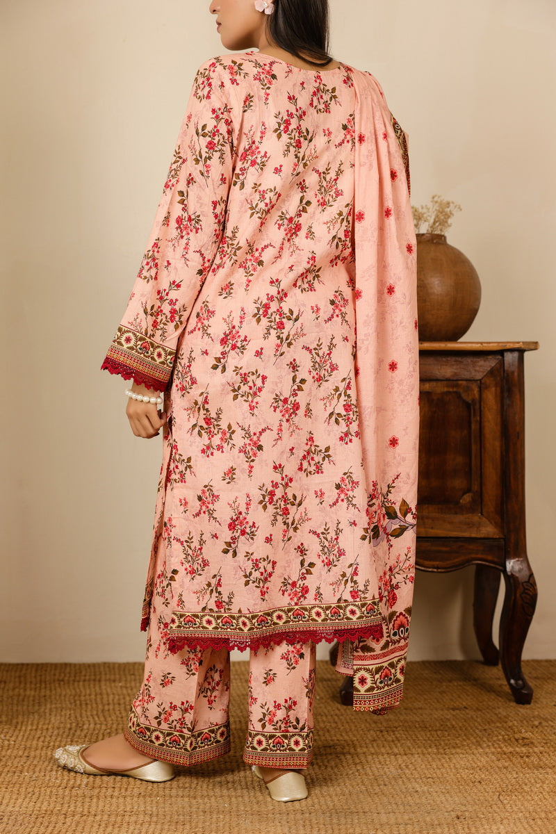 Daman Mid Summer D-2011