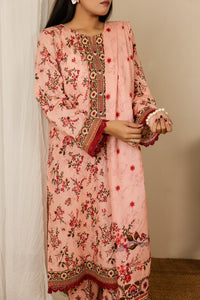 Daman Mid Summer D-2011