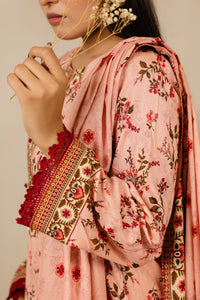 Daman Mid Summer D-2011