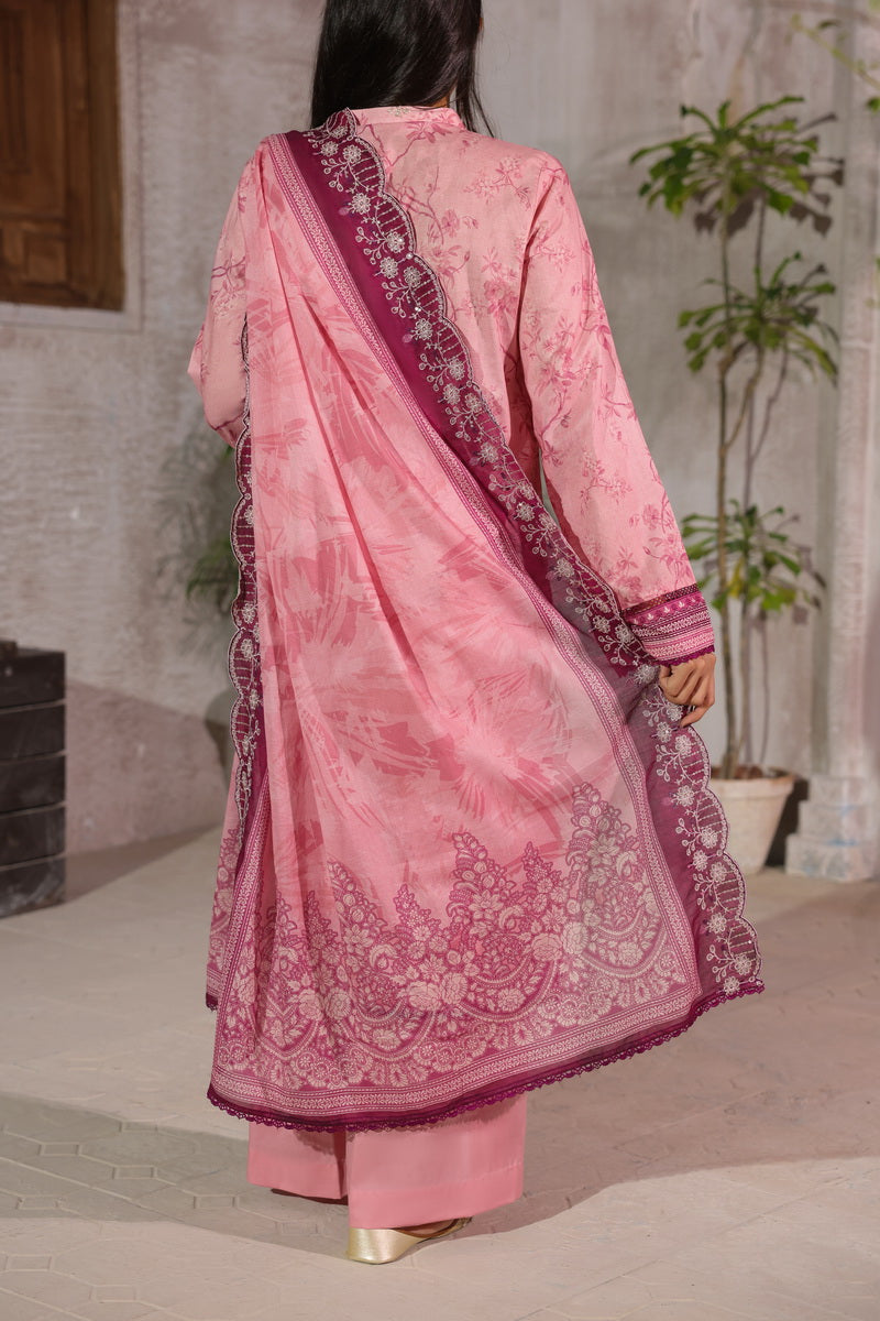 Zynah Chikankari D-697