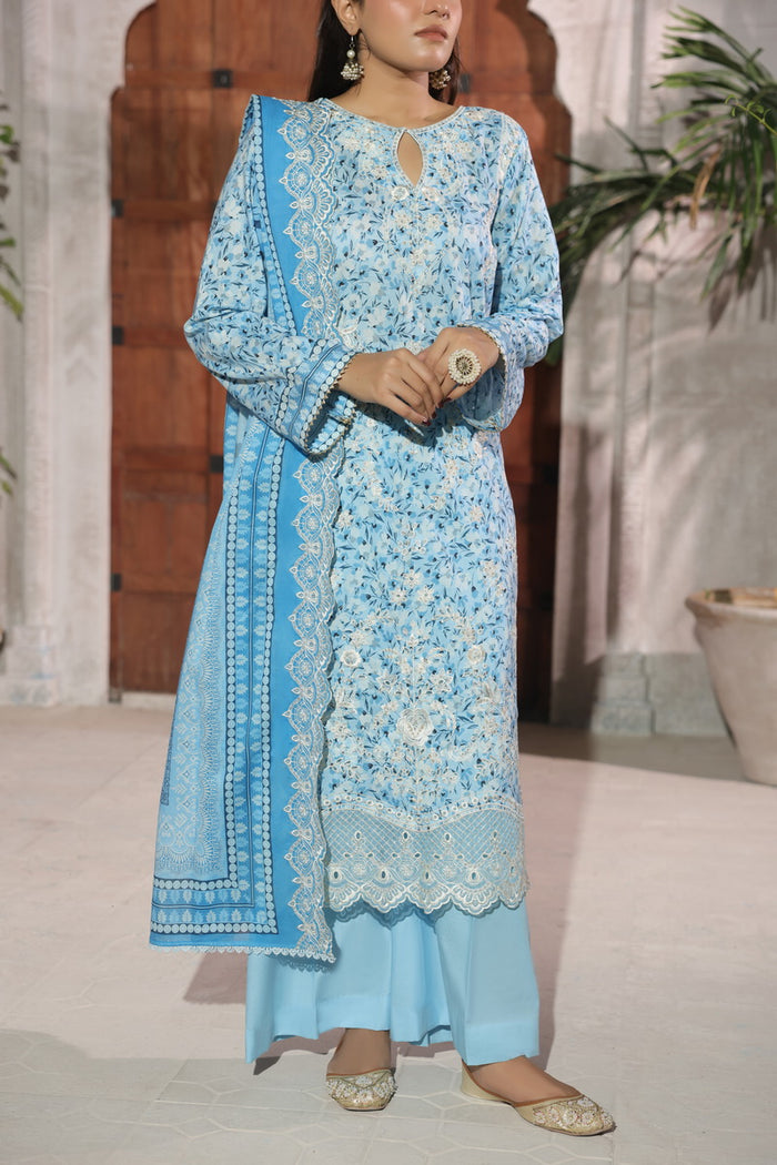 Zynah Chikankari D-699