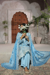 Zynah Chikankari D-699