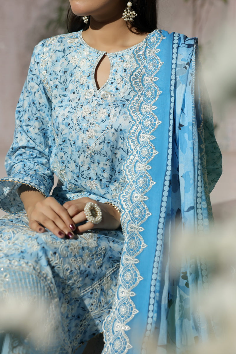 Zynah Chikankari D-699
