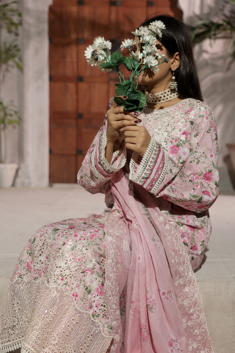 Zynah Chikankari D-694