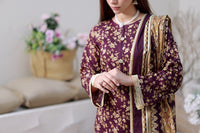 Daman Mid Summer D-2033