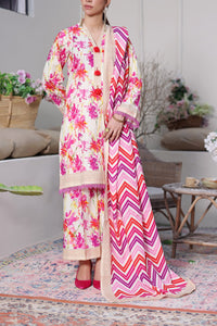 Daman Mid Summer D-2014