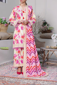 Daman Mid Summer D-2014