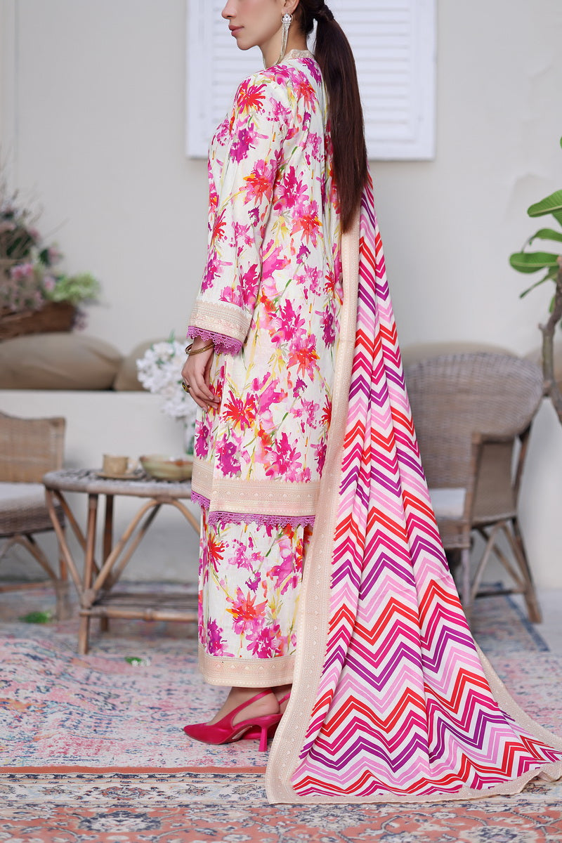 Daman Mid Summer D-2014