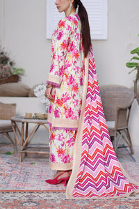 Daman Mid Summer D-2014