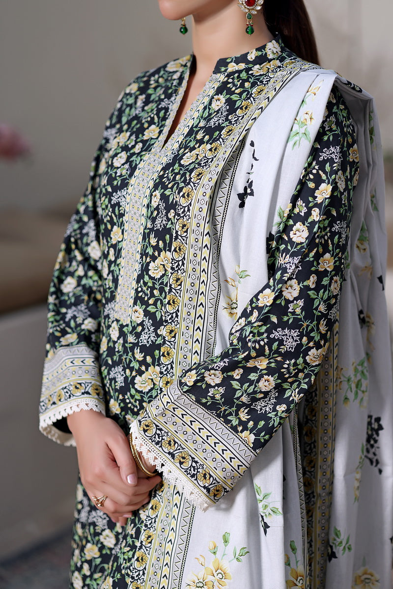 Daman Mid Summer D-2038