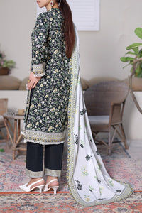 Daman Mid Summer D-2038