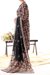 Daman Mid Summer D-2039