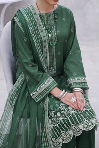 Ayesha Alishba Emb D-59