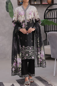 Ayesha Alishba Emb D-61