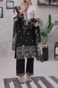 Ayesha Alishba Emb D-61