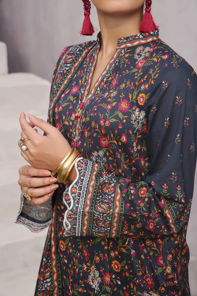 Ayesha Alishba Emb D-63