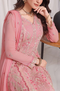 Jahanara Emb Chiffon D-09