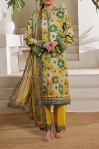 Daman Mid Summer 3 Pcs Unstitched D-983