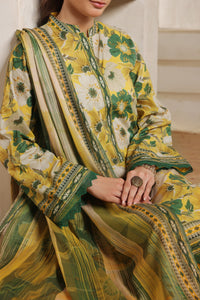 Daman Mid Summer D-2022