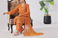 Anmol Embroidered D-528