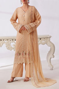 Anmol Embroidered D-529