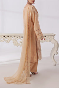 Anmol Embroidered D-529