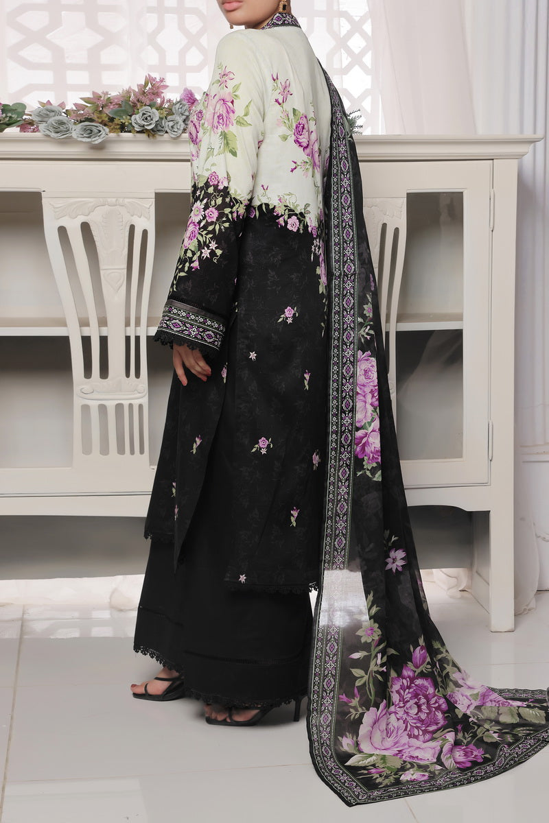 Daman Mid Summer D-2020