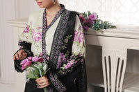 Daman Mid Summer D-2020