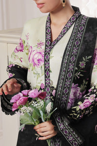 Daman Mid Summer D-2020